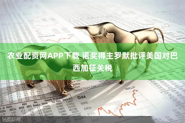 农业配资网APP下载 诺奖得主罗默批评美国对巴西加征关税